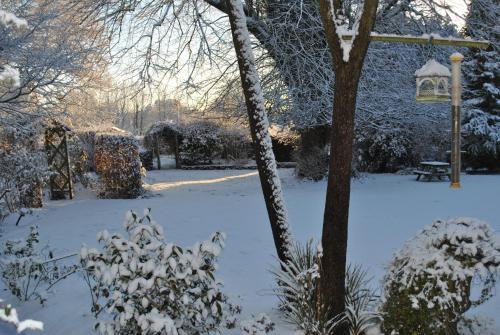 Elmfield — Okehampton — photo 3