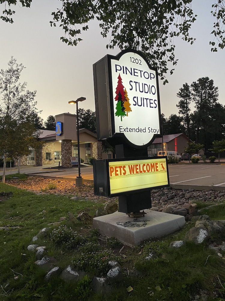 Pinetop Studio Suites - photo 3