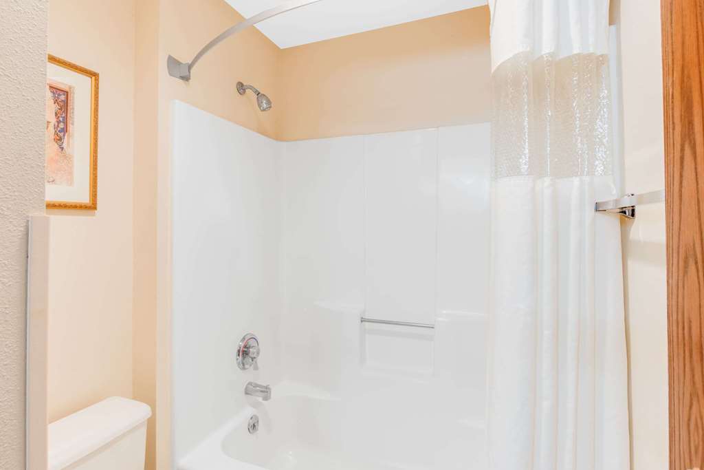 Baymont by Wyndham Kalamazoo West - photo 9