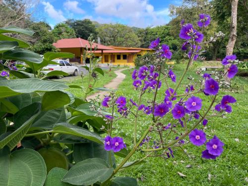 El Valle Resort & Spa Aguas Termales in El Hato, Panama