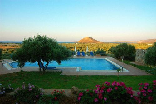 Olive Garden Houses — Palekastro