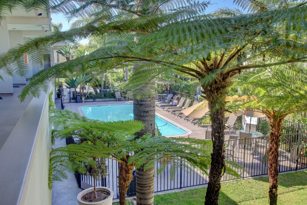 La Avenida Inn - photo 28