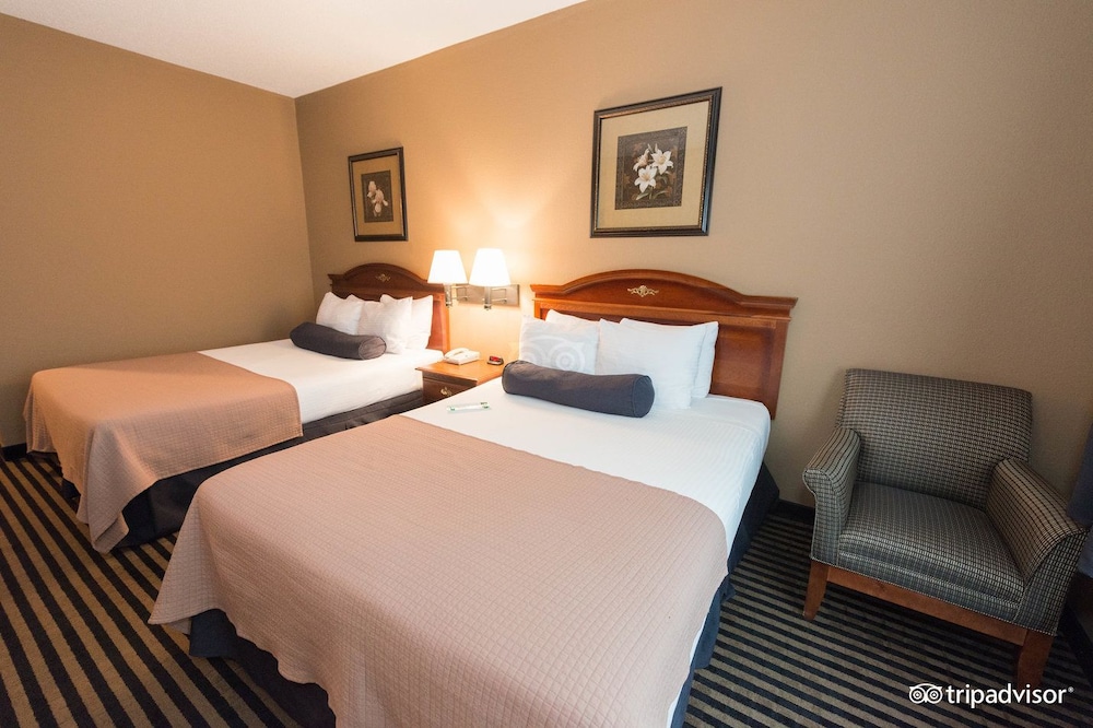 Mountain Inn & Suites - photo 3