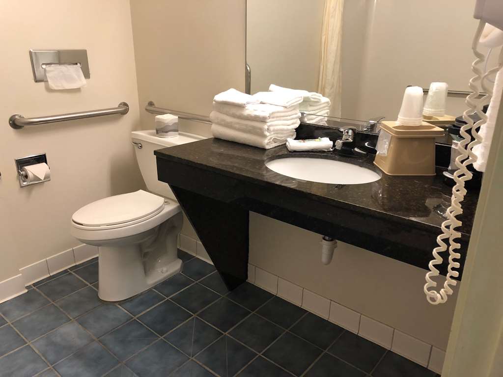 Best Western Clearlake Plaza - photo 16