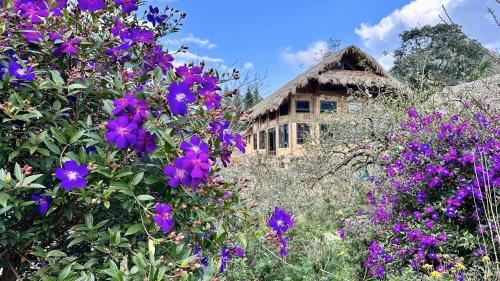 Ho May Garden Retreat Moc Chau in Moc Chau, Vietnam