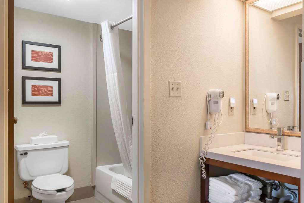 Comfort Inn Pine Grove I 81 Hershey Area - photo 18