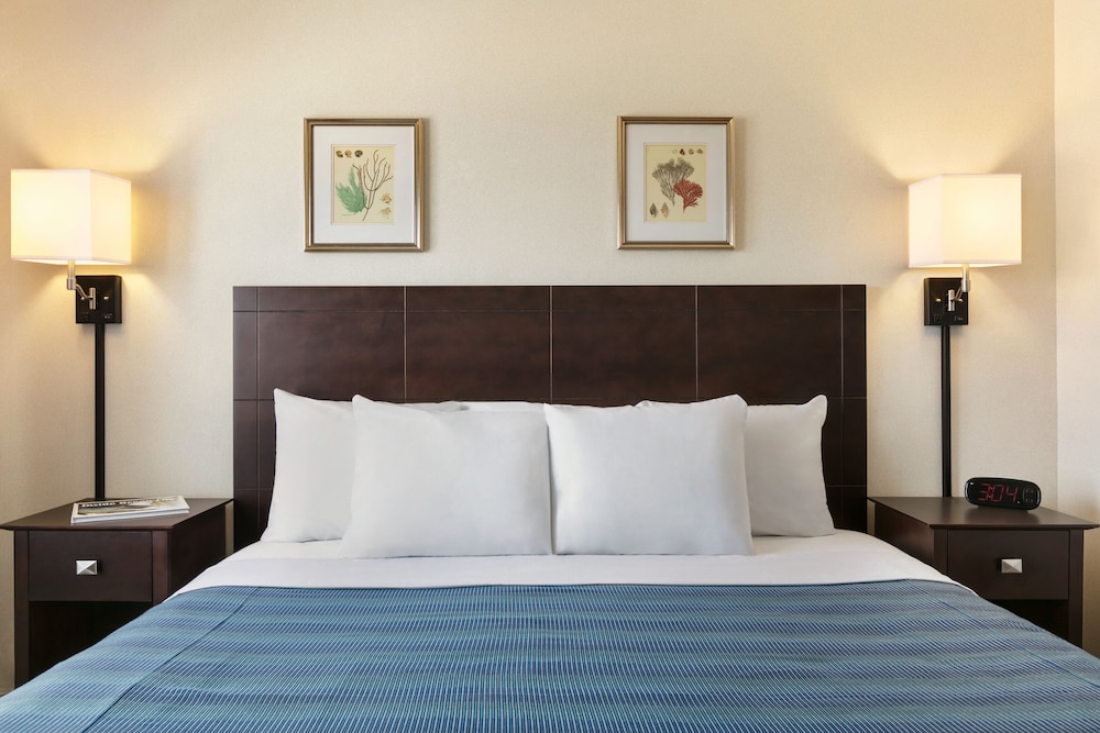Harrison Hall Hotel - photo 22