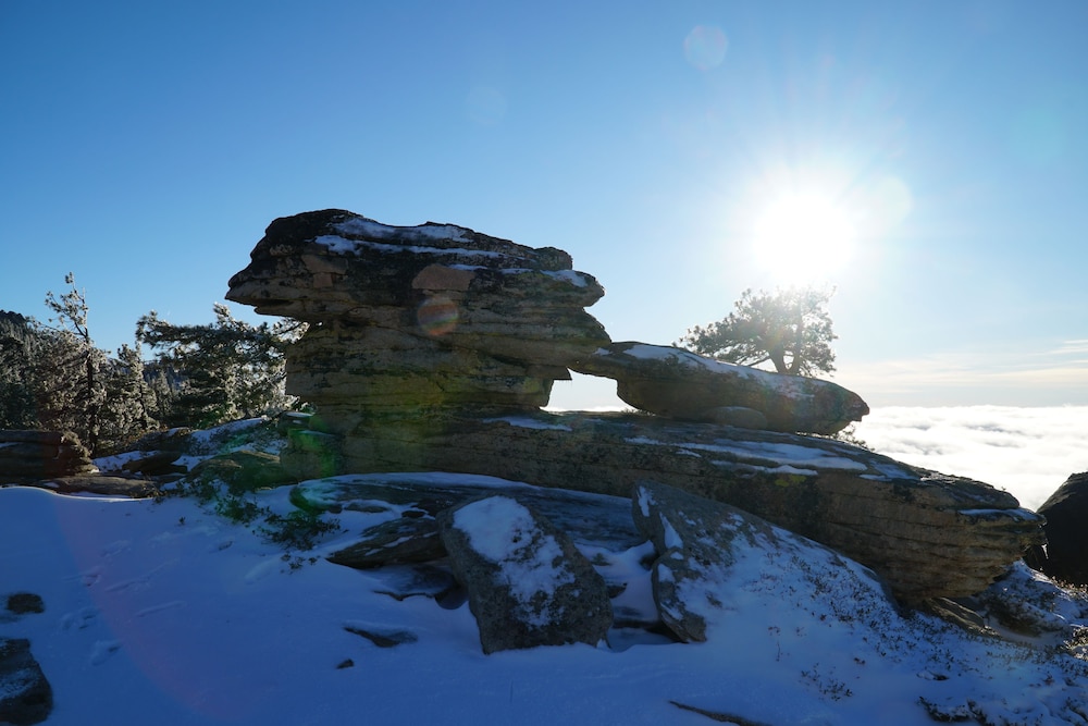The Pines Resort - photo 53