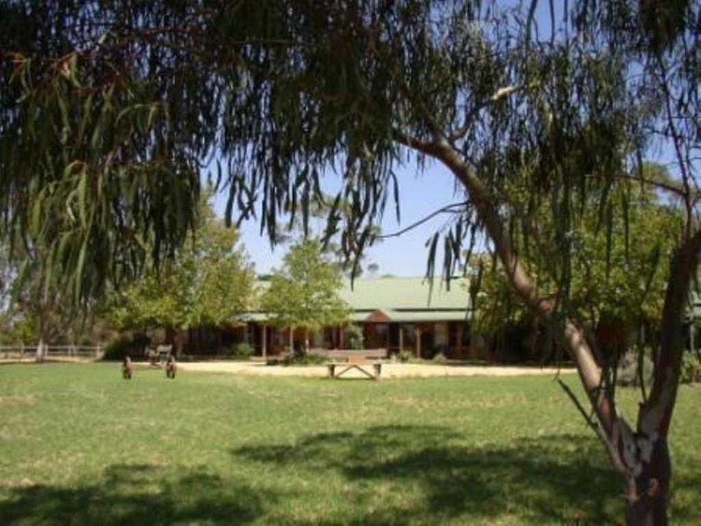 The Vineyard Motel — Cowra