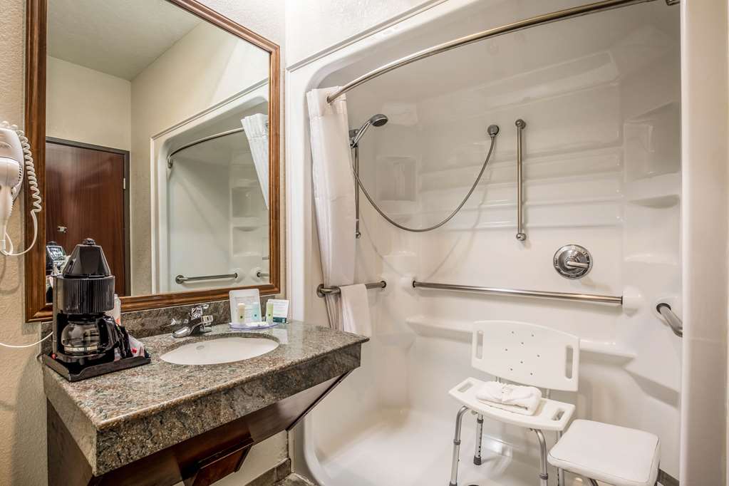 Quality Inn & Suites Seabrook NASA Kemah - photo 4