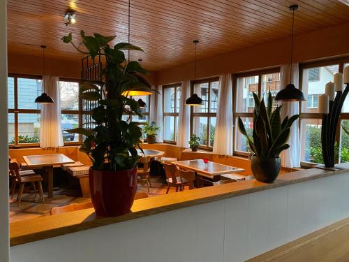 Hotel Bären Niederscherli pet-friendly hotel Koniz