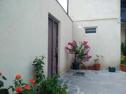 Old City LG Apartments