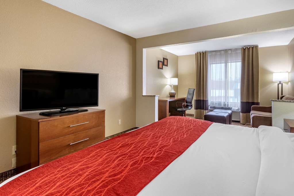 Comfort Inn & Suites Cedar Rapids North Collins Road - photo 38