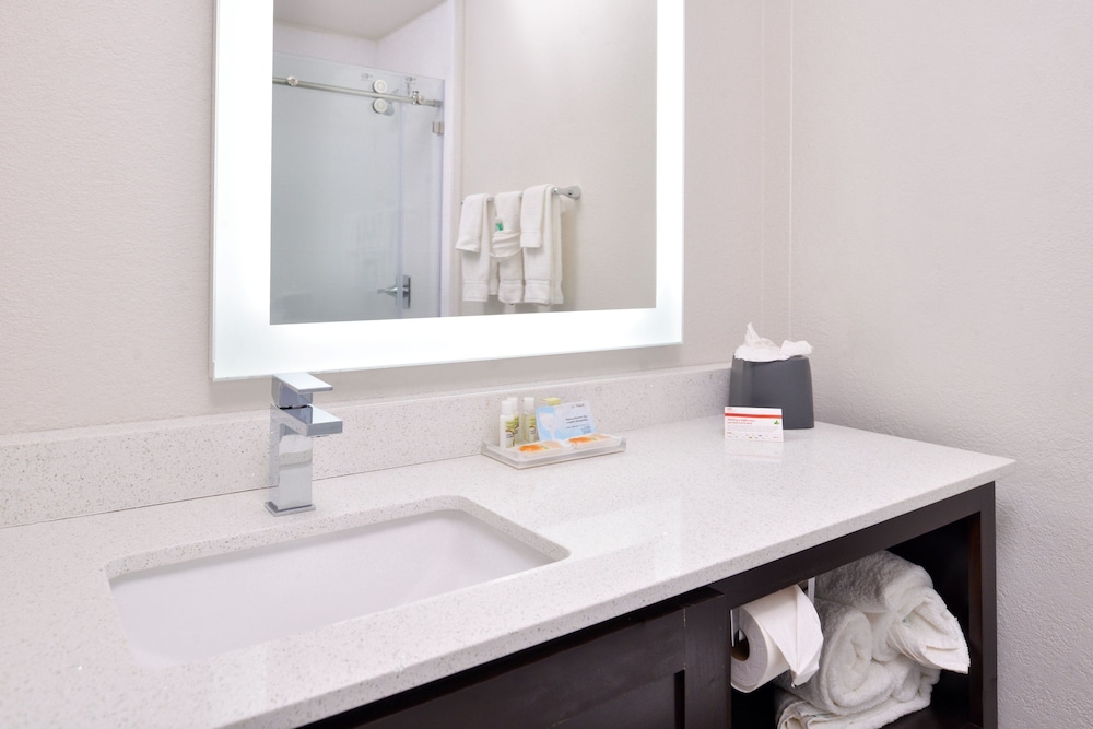 Holiday Inn & Suites Dallas Addison by IHG - photo 12