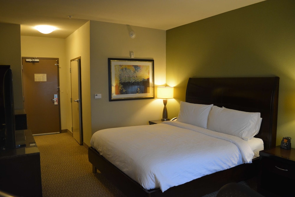 Hilton Garden Inn Houston Pearland - photo 20