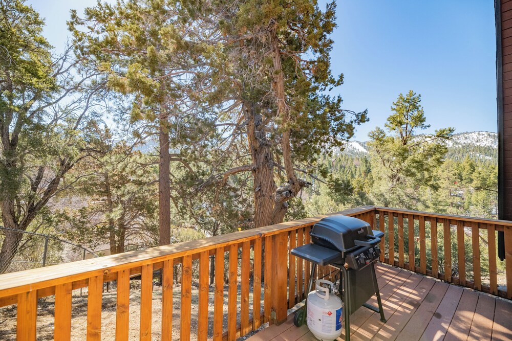 Bearadise Views - photo 20