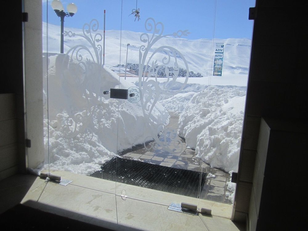 Cedars Palace — Bcharre — photo 4
