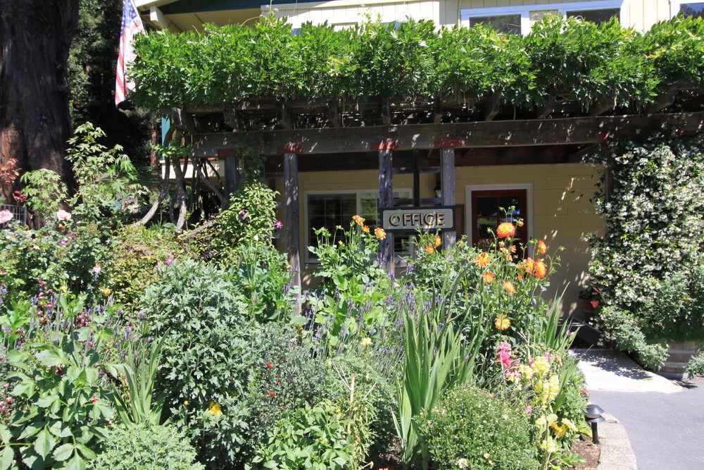 Fern Grove Cottages - photo 5