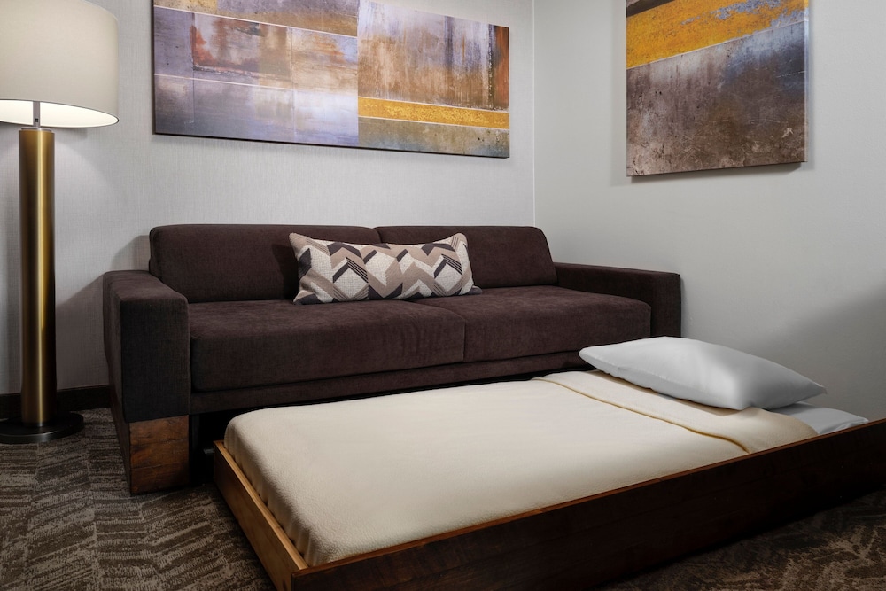 Springhill Suites by Marriott Pittsburgh Mt. Lebanon - photo 10