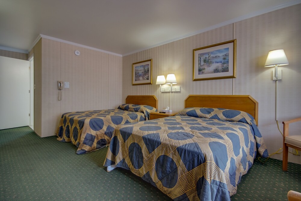 Sahara Motel - photo 5