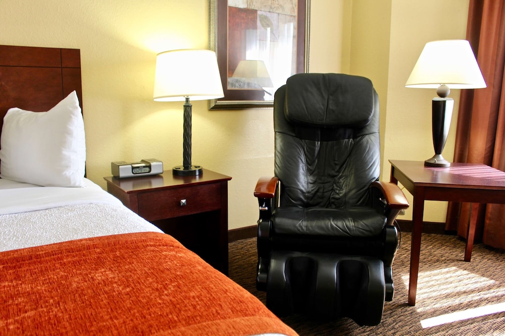 Comfort Inn Eagan Minneapolis St. Paul South - photo 34