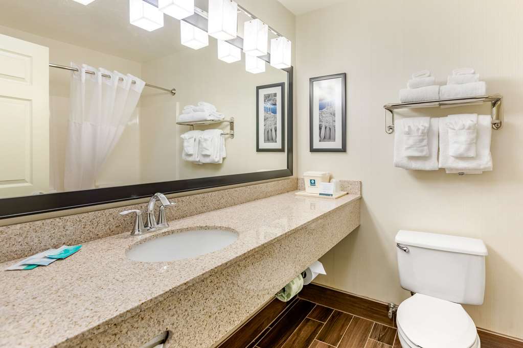 Quality Inn & Suites University Fort Collins - photo 22