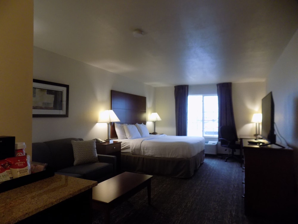 Cobblestone Hotel & Suites Seward - photo 10