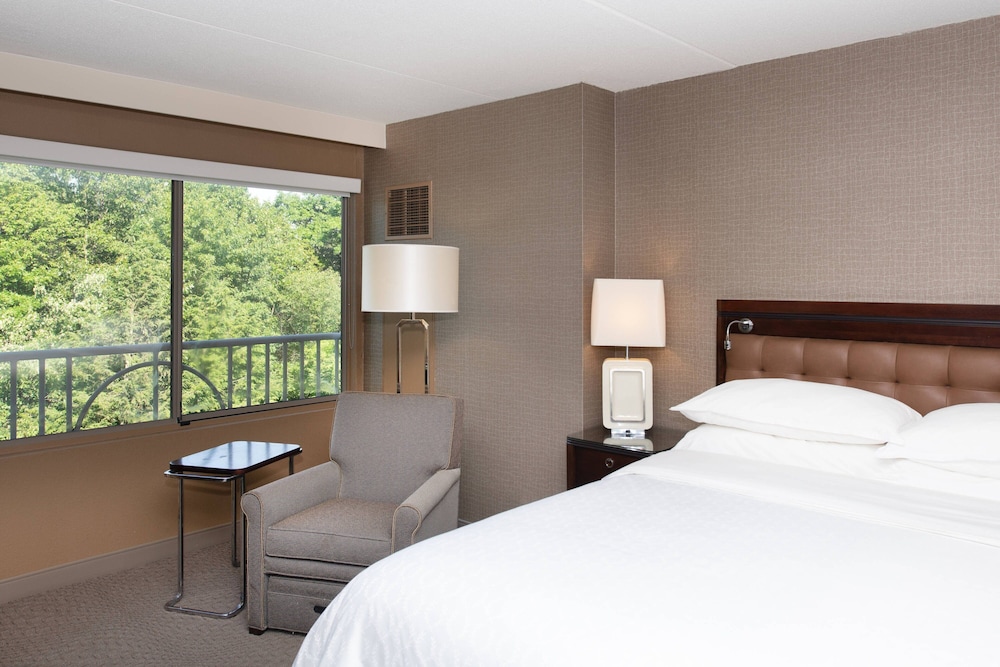 Sheraton Hartford South Hotel - photo 17