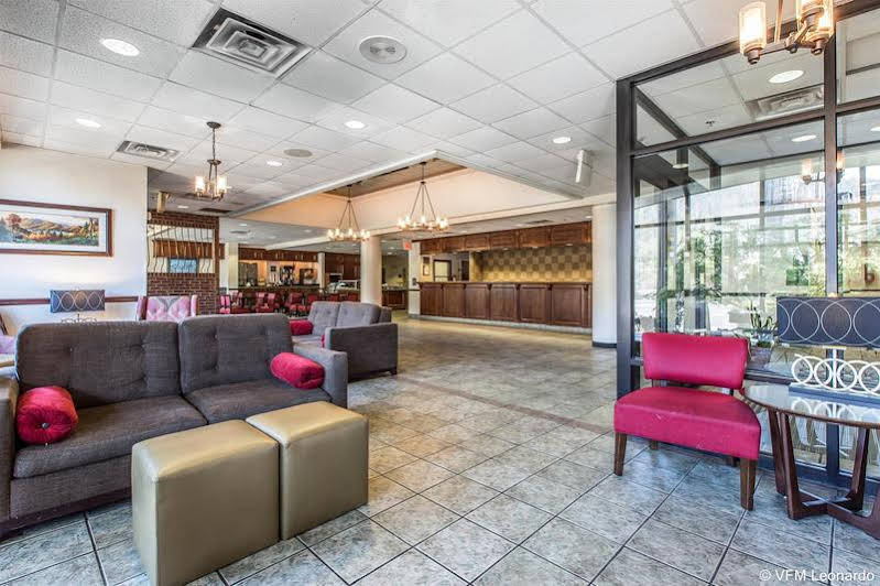 Black Bear Inn & Suites - photo 26