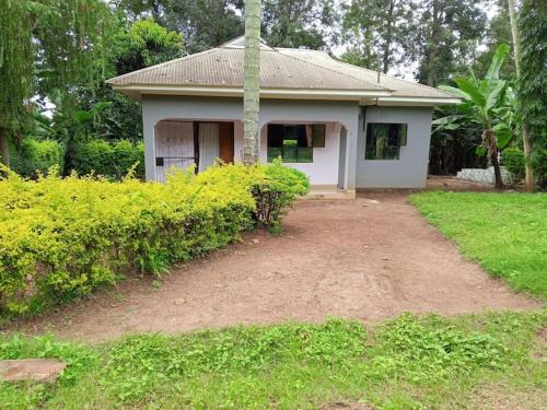 Banana tree village in Unknown City, Tanzania