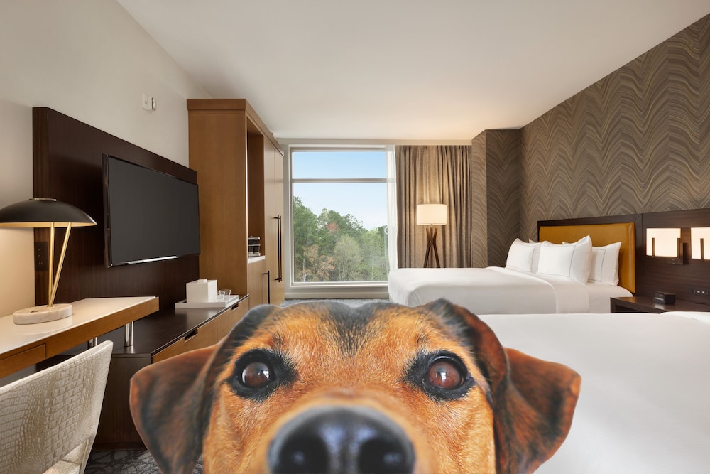 Hilton Alpharetta Atlanta - photo 25