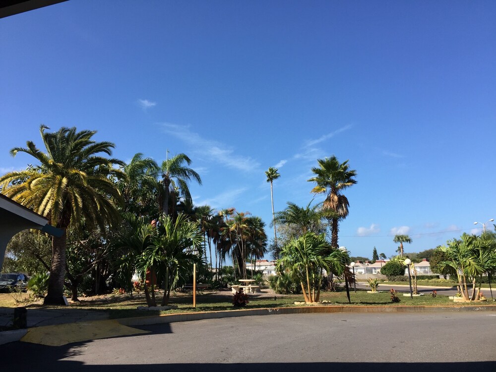 Rodeway Inn Holiday FL - photo 28