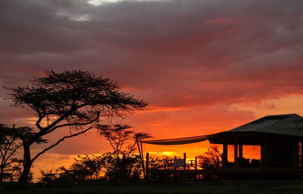 Saruni Leopard Hill — Narok — photo 2