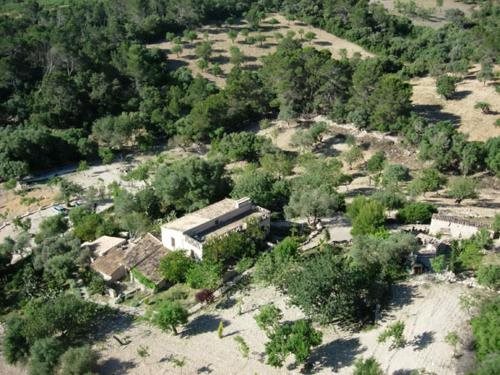 Finca Son Torrat in Petra, Spain