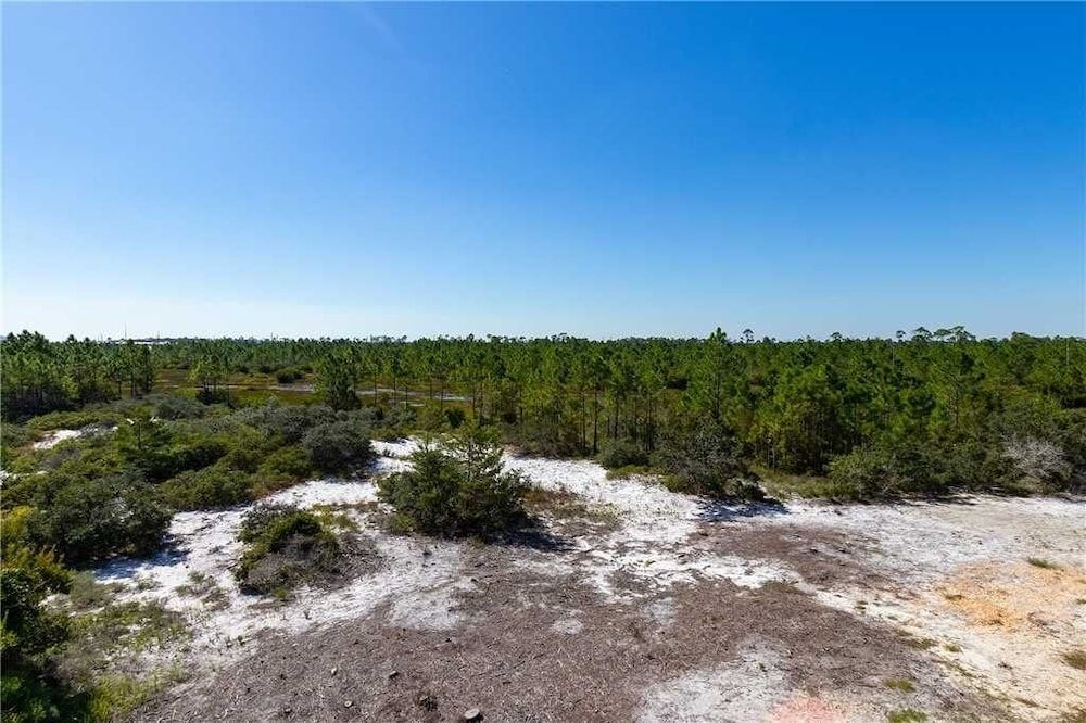 Phoenix East by Youngs Suncoast - photo 12