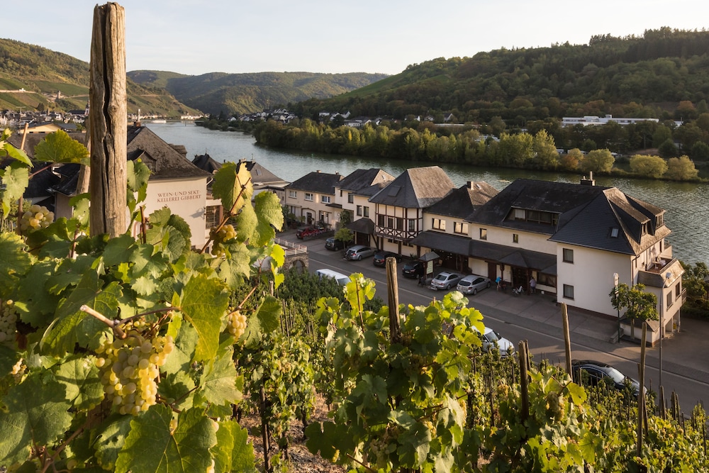 Hotel Garni Cafe Im Hamm — Zell