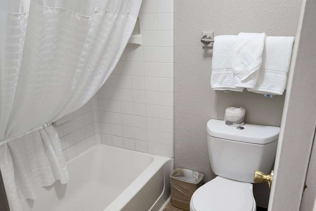 Days Inn by Wyndham Denver Downtown - photo 18