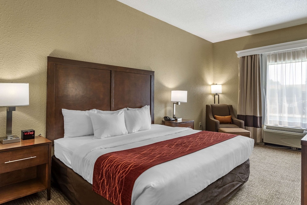 Comfort Inn Kingsport Southeast - photo 8