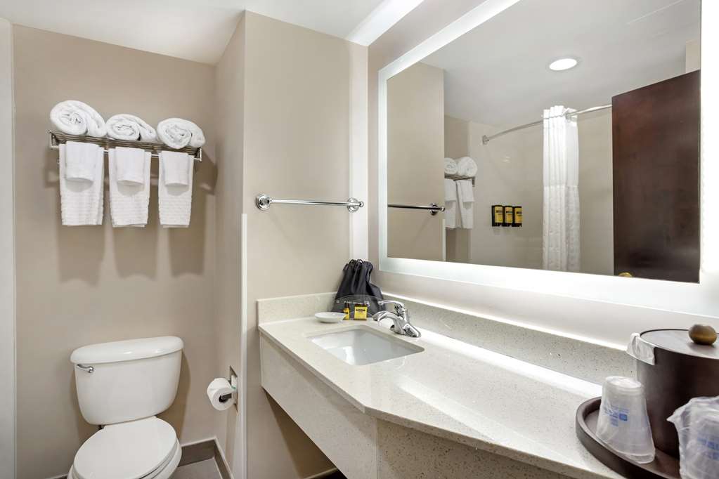 Best Western Plus Fairfield Hotel - photo 18