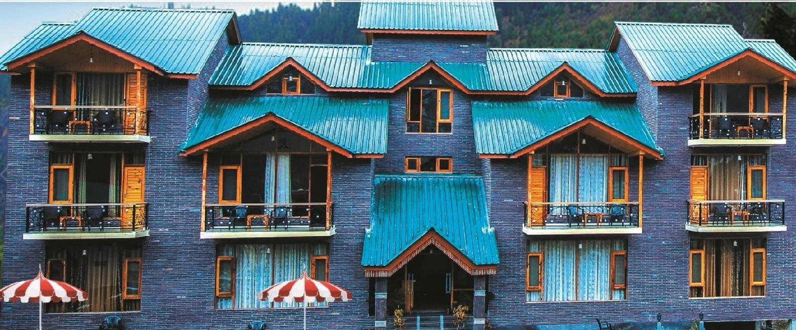 Hotel Thomas villa — Manali — photo 2