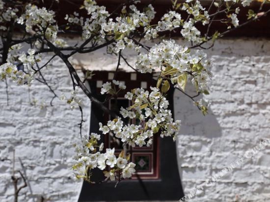 Yala shanshe in Kangding, People's Republic of China