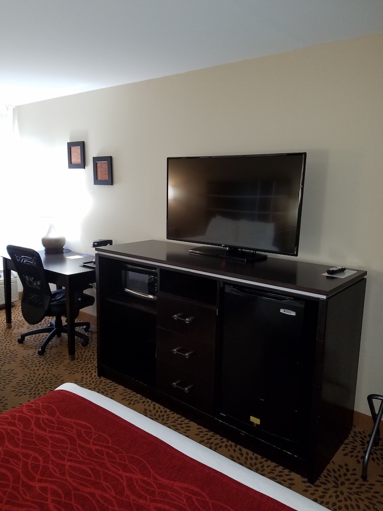 Comfort Inn North of Asheville - photo 11
