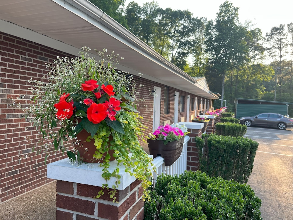 Pine Tree Inn - photo 48
