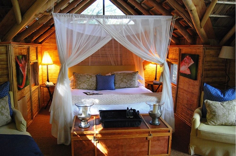 Phantom Forest Eco Reserve — 4-Star Luxury Hotel in Knysna, South Africa