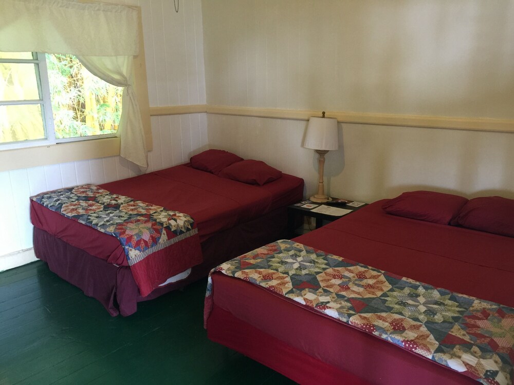 Wild Ginger Inn Hotel - photo 11