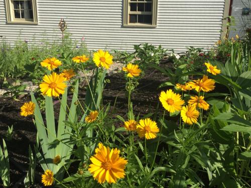 The Black Boar Inn - photo 80