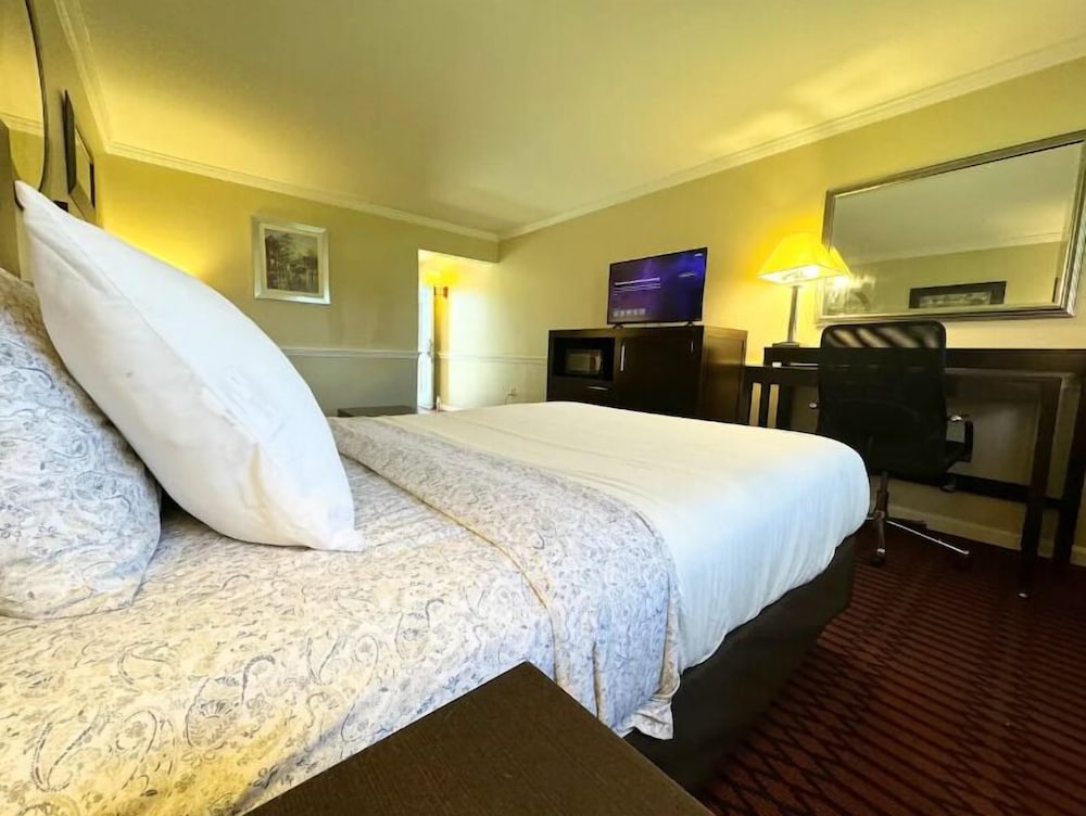 Kiteville Lancaster - photo 4