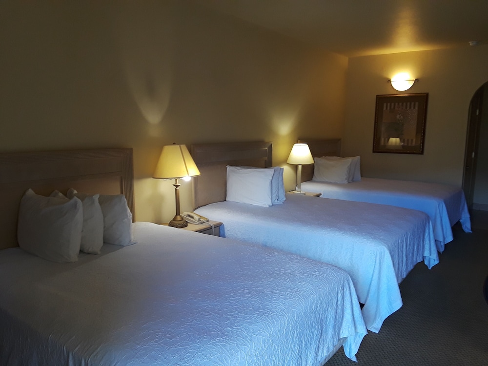 Sunbridge Inn & Suites - photo 10