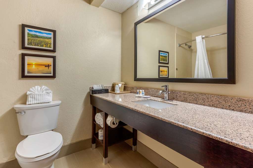 Comfort Inn Lenoir City Knoxville - photo 37