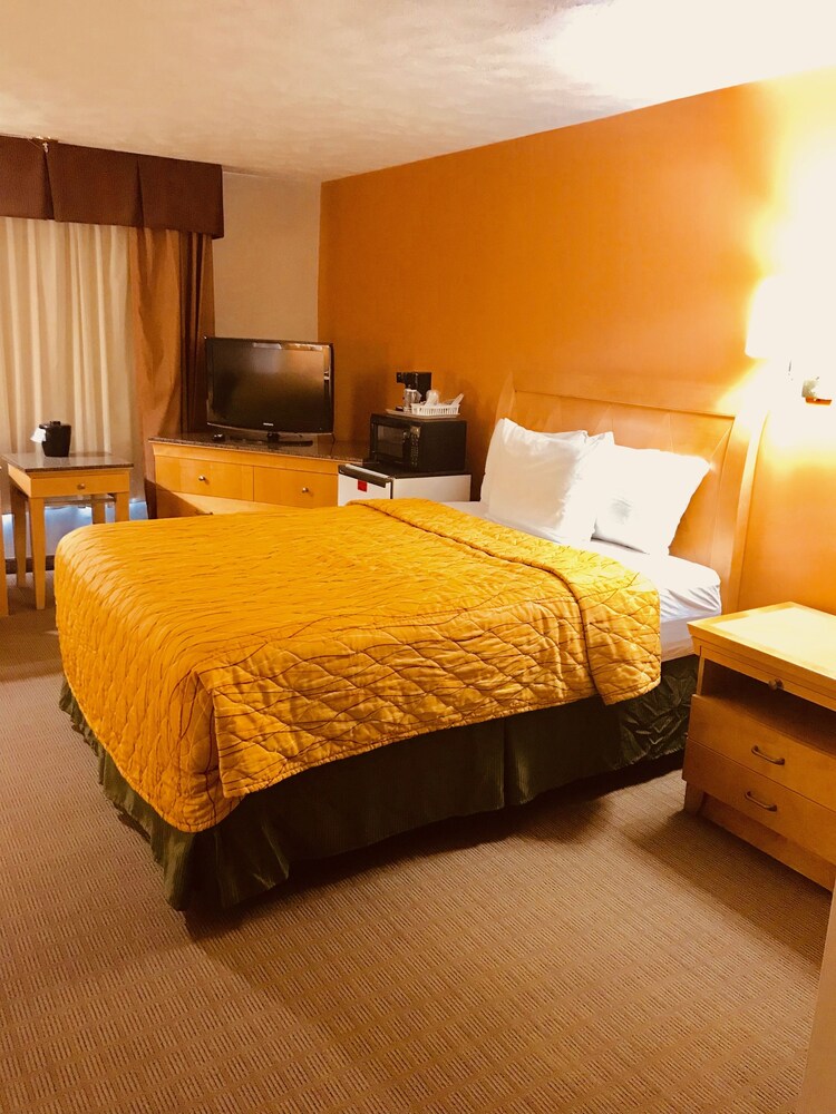 Lyons Inn - photo 11